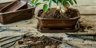 Outils pour le jardin